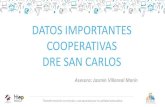 DATOS IMPORTANTES COOPERATIVAS DRE SAN CARLOS...Actualizar documentos de la cooperativa Redacción y transcripción de las actas Planes de los cuerpos directivos Asambleas Informes