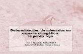 Determinación de minerales en especie cinegética: la perdiz roja...Na ,K , Ca y Mg de la perdiz roja por área geográfica, edad, sexo y órgano (hígado, corazón, pulmón y músculos).