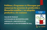Políticas y Programas en Guatemala que enmarcan los ...lac.harvestplus.org/wp-content/uploads/2014/07/Politicas...con énfasis en los grupos vulnerables en el país. Diseñar una