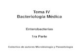 Tema IV Bacteriología Médica · 2018. 5. 3. · Pruebas bioquímicas (especie y grupo) ... Su cuadro clínico y las características fisiológicas la hacen indistinguibles de la