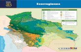 TIPOS DE ECORREGIONES - CEDIBTIPOS DE ECORREGIONES Material elaborado en base mapa e información de la Fundación Amigos de la Naturaleza Noel Kempff, FAN-Bolivia Centro de Documentación