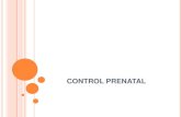 CONTROL PRENATAL - creosltda.com€¦ · CONTROL PRENATAL: IMPORTANCIA Mortalidad Materna Colombia: 73 x 100.000 Nacidos Vivos Choco: 200 x 100.000 N.V. (2002) DesarroIlo 9X100.000