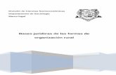 Bases jurídicas de las formas de organización rural€¦ · V. Orientación empresarial de las organizaciones económicas ..... 11 VI. Constitución de figuras ... El presente texto