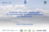 Cadenas de valor sostenible Su contribución al desarrollo rural en Guatemala · 2020. 8. 11. · Contabilidad, Costos, Asesoría Jurídica. •Cumplimiento de obligaciones ... pecuaria