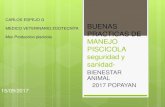 BUENAS PRACTICAS DE MANEJO PISCICOLA · PISCICOLA seguridad y sanidad- BIENESTAR ANIMAL 2017 POPAYAN 15/09/2017 CARLOS ESPEJO G MEDICO VETERINARIO ZOOTECNITA Msc Produccion piscicola