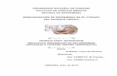 UNIVERSIDAD NACIONAL DE CÓRDOBA FACULTAD DE CIENCIAS ...lildbi.fcm.unc.edu.ar/lildbi/tesis/Almada-laura-2018.pdf · FACULTAD DE CIENCIAS MÉDICAS ESCUELA DE ENFERMERÍA ESPECIALIZACIÓN