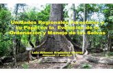 Unidades Regionales y su papel en la Ordenación y Manejo de las … · 2014. 10. 27. · • Uniones de ejidos forestal (UEF) y Asociaciones rurales de interés colectivo (ARIC)
