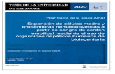 Expansión de células madre y progenitoras hematopoyéticas a partir de sangre de ...zaguan.unizar.es/record/89285/files/TESIS-2020-061.pdf · 2020. 5. 25. · 2020 61 Pilar Sainz