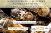 CONTROL DE VARROA,apiads.es/wp-content/uploads/2020/01/VARROOSIS-control-sostenibl… · En España comienza a usarse poco después de la llegada de varroa en 1985-1986. ENSAYO CON