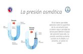 La presión osmótica€¦ · 2- Qué masa de anilina habría que disolver en agua para tener 200 mL de una solución cuya presión osmótica, a 18 °C, es de 750 mmHg; sabiendo que
