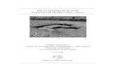 EXCAVACIONES EN EL SITIO SANTIAGO DE HUARI 9 (SH9), …cerámica y material lítico en superficie, demostrando una secuencia cultural desarrollada desde el Periodo Arcaico Tardío