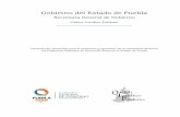 Gobierno del Estado de Puebla...Lineamientos Generales para la Promoción y Operación de la Contraloría Social en los Programas Estatales de Desarrollo Social en el Estado de Puebla