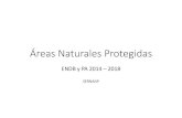 Áreas Naturales Protegidas · 2019. 6. 17. · Bosques Secos de Piura y Tumbes 23.22 76.78 27.10 72.90 28.50 71.53 20.78 79.22 24.90 Bosques Secos del Centro - Valles ... Porcentaje