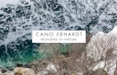 Cano Erhardt · 2018. 12. 10. · vivo el concepto romántico de la Naturaleza, casi como una expresión holística y panteísta de la divinidad, una representación en blanco y negro,