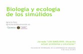 Biología y Ecología de los simúlidos - Zaragoza · 2015. 3. 2. · JORNADA “LOS SIMÚLIDOS. SITUACIÓN ACTUAL: PROBLEMAS Y SOLUCIONES” SIMÚLIDOS Morfología • De colores
