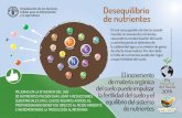 Desequilibrio de nutrientes - Food and Agriculture OrganizationAL ORME PRINCIP O - INF CURSO SUEL ADO MUNDIAL DEL RE FUENTE: EST Desequilibrio de nutrientes El mal uso y gestión de