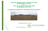 ESTUDIO DE IMPACTO AMBIENTAL Y PLAN DE ......El Estudio de Impacto Ambiental Ex-Post, se aplicó a la Camaronera MANDASACORP S.A., la cual tiene su ubicación en el Kilómetro 17,5
