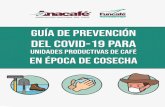 Guía de Prevención - Anacafe · siendo Guatemala un país multilingüe, en el que también se hablan otros 24 idiomas (22 de origen Maya, Xinka y Garífuna), en la medida de las