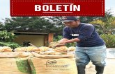 BOLETIN - Promecafefalta de mano de obra, ante esto, la necesidad de innovar mediante la mecanización. PROMECAFE EN MARCHA - 09 - En la ciudad de Guatemala el martes 28 de febrero