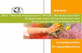2020 - inscastelli-cha.infd.edu.ar · De la calificación de los alumnos ... Técnicas de análisis y síntesis: subrayado, resumen, esquemas, mapas conceptuales, fichas de ... la