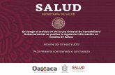 Formato y modelo No. 74.I.a) - Oaxaca · 2019. 10. 25. · 2003 SILVA,CELON/LEONOR M02078 08:00 20 416 01/05/2019 31/12/2019 OCSSA014010 OCSSA014010 Entidad Federativa: Oaxaca Periodo: