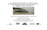 LA ANIDACIÓN DE LA TORTUGA BAULA Dermochelys coriacea EN LA PENÍNSULA DE … · 2009. 11. 29. · “La anidación de la tortuga laúd en la Península de Pongara, Gabón, África
