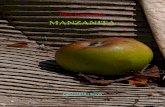 MANZANITA - Cultura Carabobo 2.0cultura.carabobo.gob.ve/.../88-Julio-Garmendia-Manzanita.pdf · 2020. 4. 30. · La Manzanita, que se había quedado distraída y pensativa oyendo