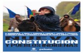 Pensamiento mapuche contemporáneo NUEVACONSTITUCIÓNY … · En cuanto a la participación de los pueblos indígenas ¿Cuál es la importancia de tener un reconocimiento constitucional