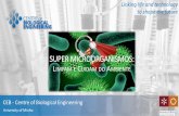 SUPER MICROORGANISMOS - Universidade do Minho · 2018. 11. 26. · CEB - Centre of Biological Engineering . University of Minho. SUPER MICROORGANISMOS: L. IMPAM E. C. UIDAM DO. A.