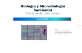 BIOLOGÍA Y MICROBIOLOGÍA - Eumed.netEl manual presenta un esquema muy general, indicando el fundamento, el ámbito de aplicación, la descripción de la metodología analítica,