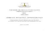 INFORME DE METAS Y EJECUCIÓN PRESUPUESTARIA DEL AÑO … de... · 2019. 2. 14. · 1 informe de metas y ejecuciÓn presupuestaria del aÑo 2017 tribunal registral administrativo