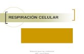 RESPIRACIÓN CELULAR...Respiración celular La Respiración Celular es una de las vías principales del metabolismo, gracias a la cual la célula obtiene energía en forma de ATP.