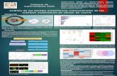 Presentación de PowerPoint...Coloquio de supercómputo 2020 Análisis de los perfiles proteómicos mitocondriales de los subtipos moleculares de cáncer de mama 1Ortega-Lozano Ariadna
