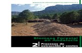 BIOMASA FORESTAL EN ANDALUCÍA. · El aprovechamiento de la biomasa forestal ha cobrado en los últimos años un nuevo protagonismo . debido a su empleo como fuente de energía renovable.