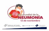 Monitor Neumonia 2020 - Pueblass.puebla.gob.mx/images/areas/informate/Neumonia_2020.pdf · 2020. 11. 12. · La Coalición Mundial contra la Neumonía Infantil organiza el Día MundialcontralaNeumonía