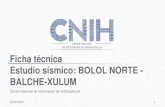 Ficha técnica Estudio sísmico: BOLOL NORTE - BALCHE-XULUM · Información general del estudio 31/07/2016 Centro Nacional de Información de Hidrocarburos 2 Prospecto adquisición