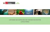 LISTADO DE ESPECIES DE FAUNA SILVESTRE CITES - PERÚ · 2018. 8. 6. · LISTADO DE ESPECIES DE FAUNA SILVESTRE CITES - PERÚ Introducción En un país megadiverso como el Perú, el