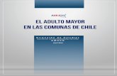 EL ADULTO MAYOR EN LAS COMUNAS DE CHILE5 Resumen indicadores del estudio Las diferencias comunales respecto de la situación del adulto mayor en Chile son de gran magnitud. Las personas
