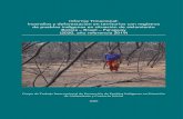 Informe Trinacional: Incendios y deforestación en territorios con ...€¦ · Asunta Mancari, residente de la Chiquitanía, Bolivia. Alguien vino a quemar la casa de los aislados.