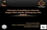 Infecciones transmitidas por arbovirus: dengue, fiebre amarilla, Chikungunya y Zika … · 2021. 1. 11. · Fiebre amarilla Dengue Chikungunya Zika Se sugiere la observación previa