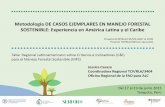 Metodología DE CASOS EJEMPLARES EN MANEJO FORESTAL ... · A través del proceso de Casos Ejemplares de Manejo Forestal Sostenible en ALC, se ha desarrollado y validado una metodología