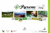 INFO Colonies Estiu Pyrene 2018 BIKE Jr i BIG BIKE · 2018. 3. 16. · Arriba a Cerdanya el 2015 a a del camp . (15/03/1997) Enamorat de les muntanyes i la natura, sobre dos rodes