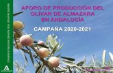 AFORO DE PRODUCCIÓN DEL - coagjaen.es³n-AFORO... · AFORO DE PRODUCCIÓN DEL OLIVAR DE ALMAZARA EN ANDALUCÍA CAMPAÑA 2020-2021 ... 5,4 millones de toneladas de aceituna de almazara