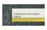 Tratamiento de Imagen Digital · 2017. 11. 10. · Procesamiento de imagen: 1. Imagen digital real: imagen obtenida a parNr de la realidad y digitalizada para su procesamiento. OBJETIVO: