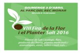 Girona Notícices » - VIII Fira de la Flor i … · 2016. 3. 28. · 07 Botiga i taller de llanes Punt de Blat C/ Major,163, galeries L8 08 Estanc Salt Josep Pons C/ Major, 303 09