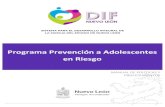 Programa Prevención a Adolescentes en Riesgo...Diagrama de flujo P-PAR-03 Conexión Comunitaria 26 IX. Anexos F-PAR-01 - Entrevista de Primer Contacto 28 F-PAR-02 – Canalización