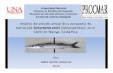 Análisis del estado actual de la pesquería de barracuda ...Análisis del estado actual de la pesquería de barracuda Sphyraenaensis (Sphyraenidae), en el Golfo de Nicoya, Costa Rica