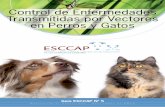 CONSEJO EUROPEO PARA EL CONTROL DE LAS ...esccap.es/wp-content/uploads/2016/06/guia5_P31620-FINAL.pdfen perros y Gatos CONSEJO EUROPEO PARA EL CONTROL DE LAS PARASITOSIS DE LOS ANIMALES