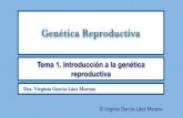 Tema 1. Introduccion a la genetica reproductiva · 2020. 1. 9. · Tema 1. Introduccion a la genetica reproductiva Created Date: 10/18/2019 8:20:51 PM ...