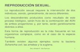 REPRODUCCIÓN SEXUAL. · 2018. 3. 1. · 2 La reproducción sexual es el modo más habitual de reproducción que realizan los animales. Se caracteriza por la presencia de células